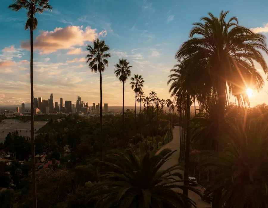 Palm trees and the Los Angeles skyline at sunset