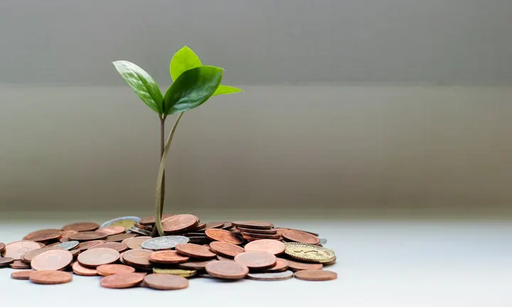 Piggy bank representing emergency savings